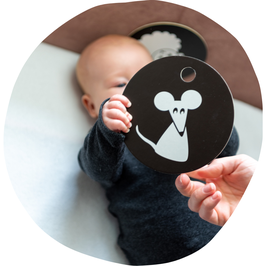 Hanniline - Kontrastkarten ab dem 3. Lebensmonat